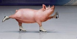 gris-o-skridskoforeningen